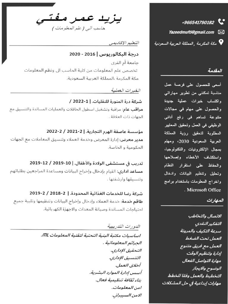 CV - Yazeed | PDF