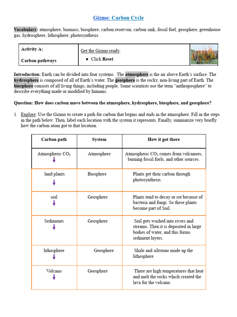 Understanding the Carbon Cycle Dynamics | PDF | Carbon Dioxide In Earth ...