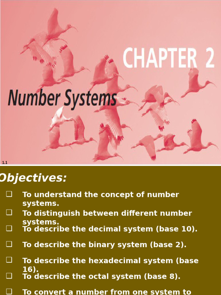 Understanding Number Systems Explained | PDF | Arithmetic | Mathematics