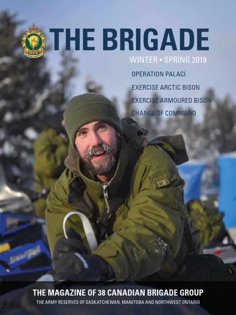 38 Canadian Brigade Group Winter-Spring 2019 | PDF | Brigade | Anti ...