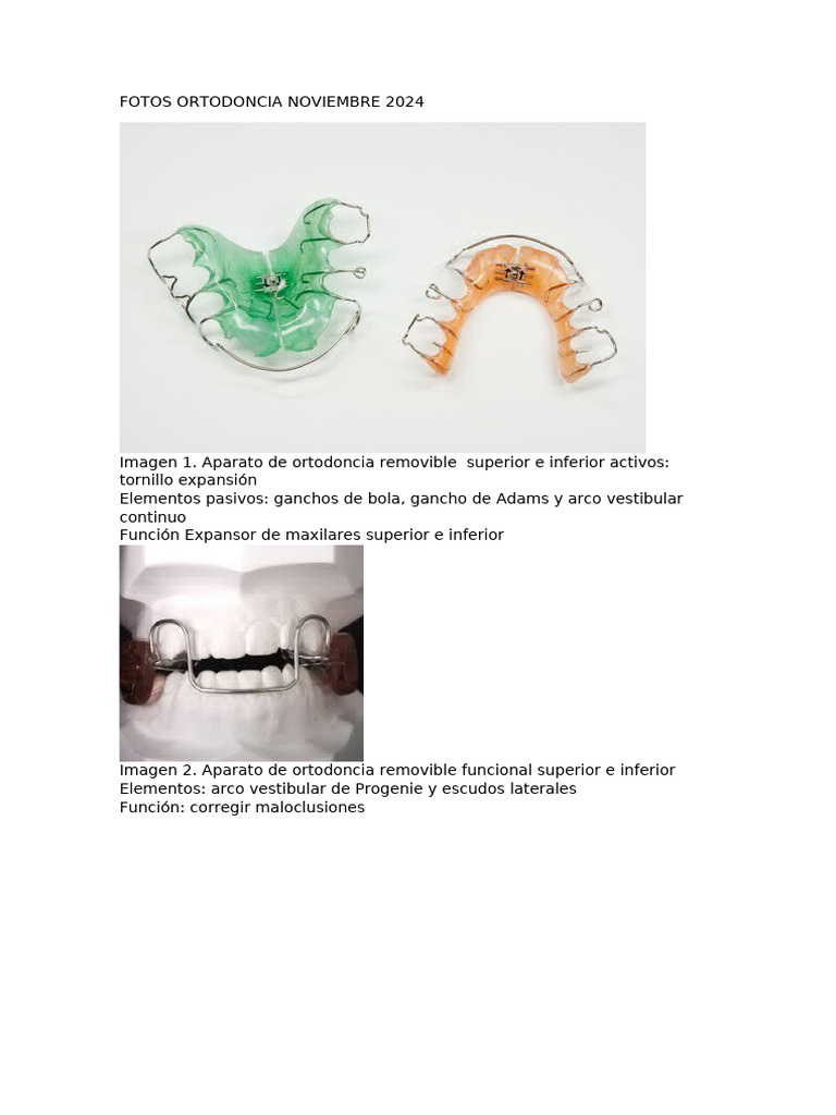 Ortodoncia Noviembre | PDF