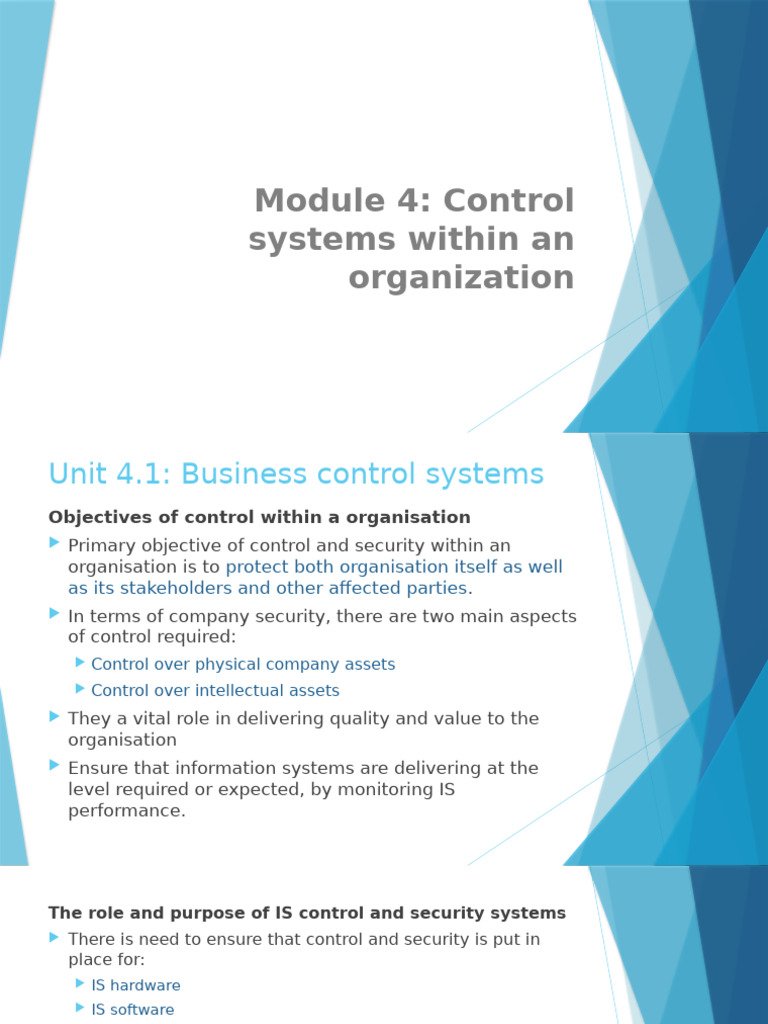 Organizational Control Systems Overview | PDF | Databases | Computer ...