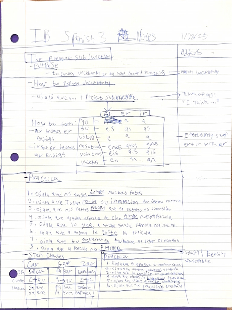 IBSPANISH3NOTES | PDF