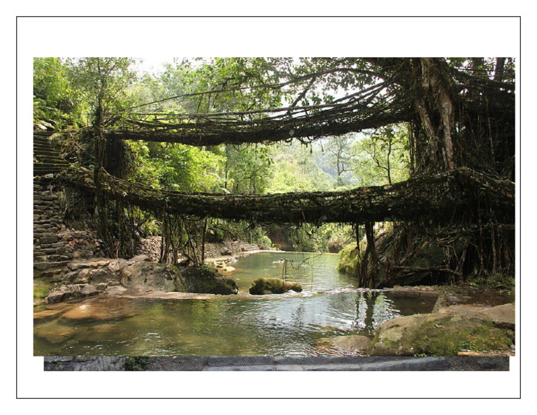 IMAGENES 7 C | PDF
