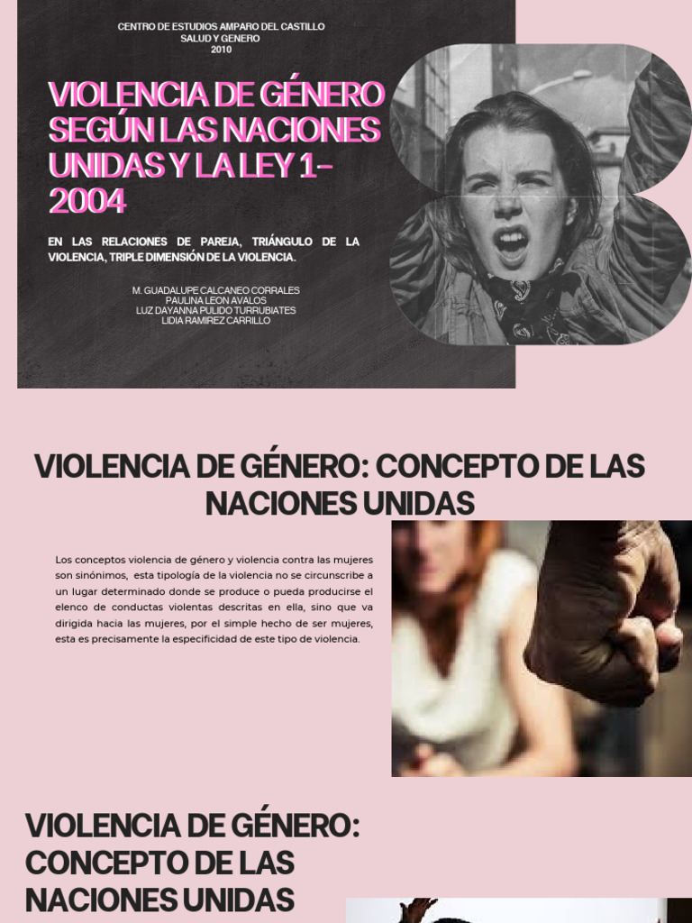 Equipo 4. Violencia de Género | PDF | La violencia contra las mujeres ...