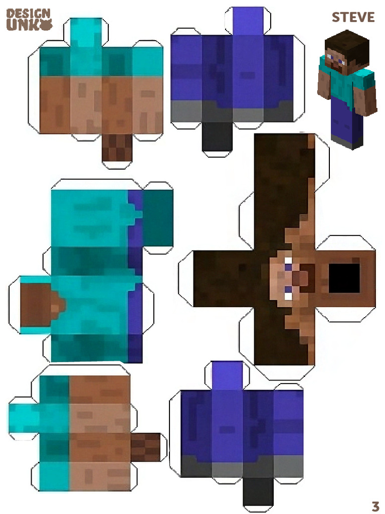 Steve | PDF