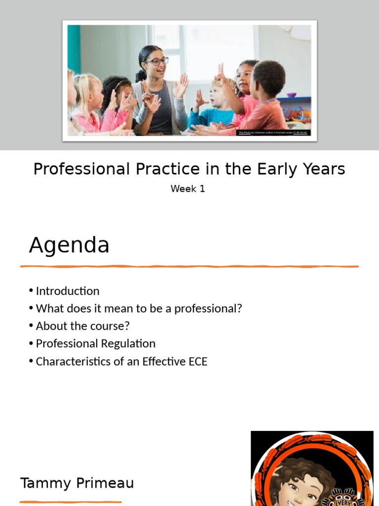 Professional Practice | PDF | Early Childhood Education | Child Care