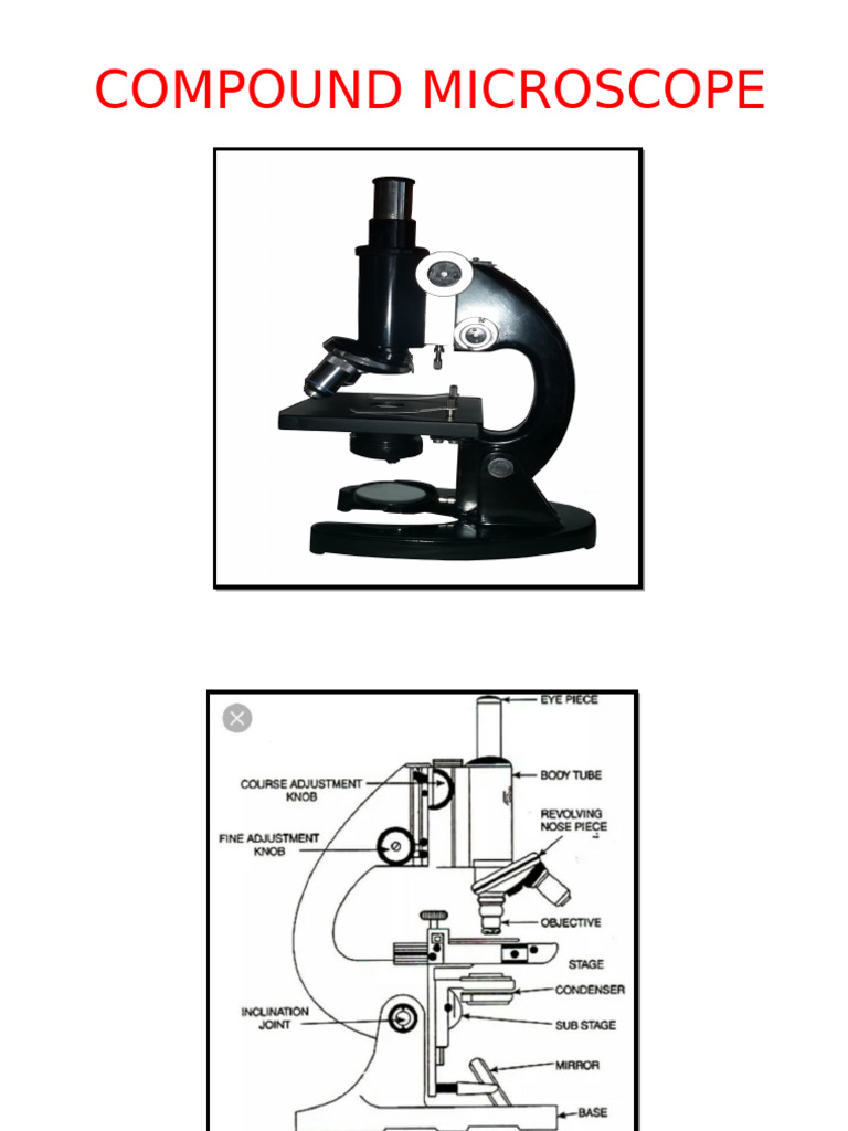 Understanding the Compound Microscope | PDF | Microscope | Laboratory ...