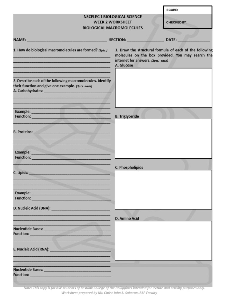 Nscelec 1 Biological Science Worksheet 2 | PDF | Macromolecules ...