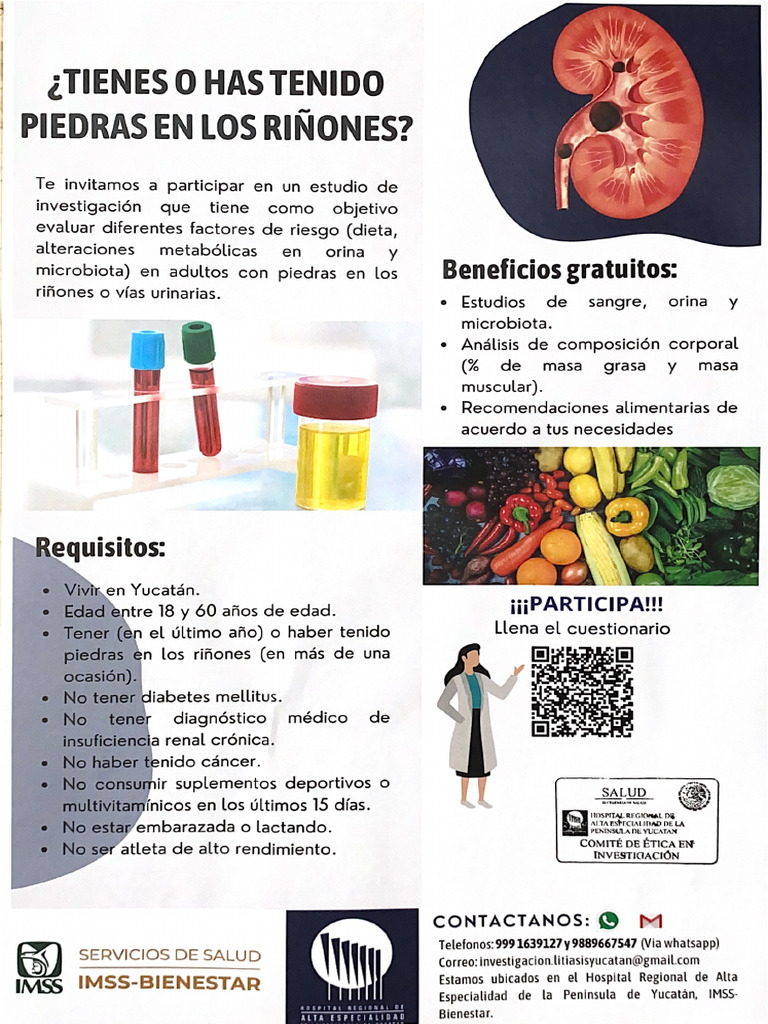 Riñones_Investigacion | PDF
