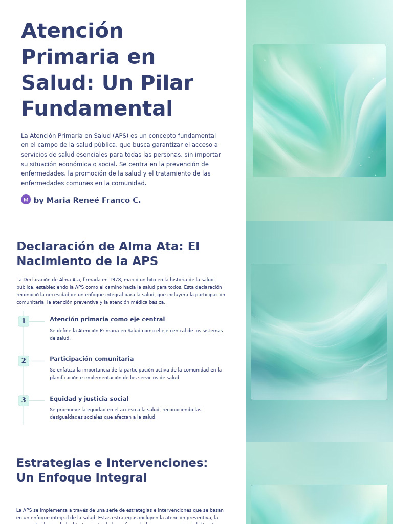 Atencion Primaria en Salud Un Pilar Fundamental | PDF | Cuidado de la ...