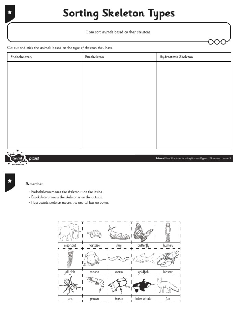 activity-sheet-sorting-skeletons-black-and-white | PDF | Skeleton ...