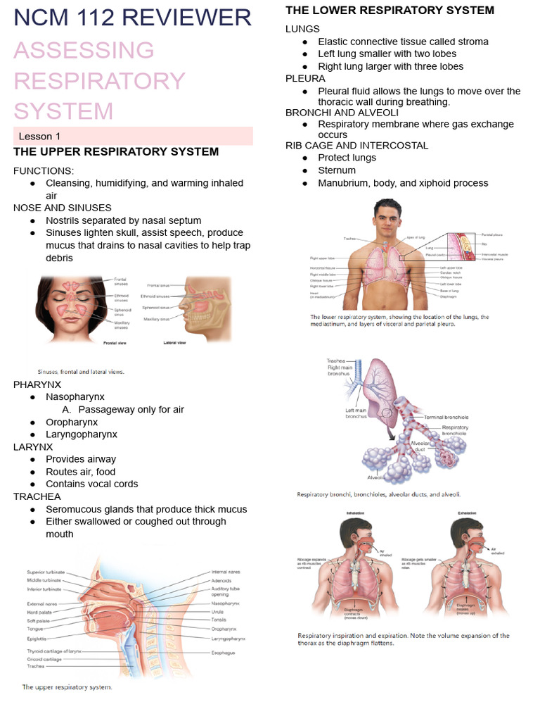 NCM 112 REVIEWER | PDF | Respiratory Tract | Lung