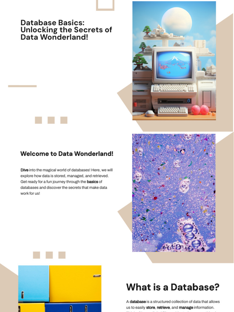 Database Basics: A Fun Introduction | PDF