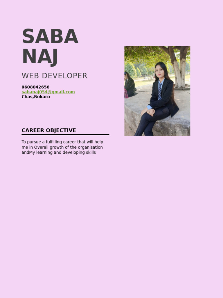 MERN Stack Developer Resume Summary | PDF