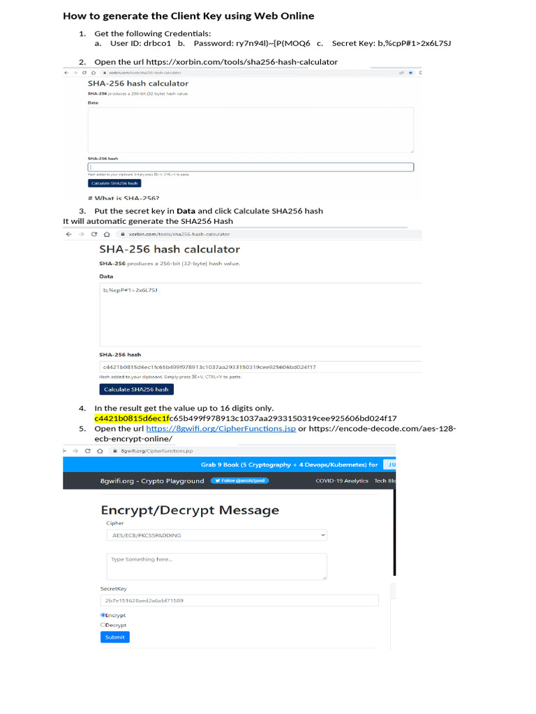 Generate Client Key via Web Tools | PDF