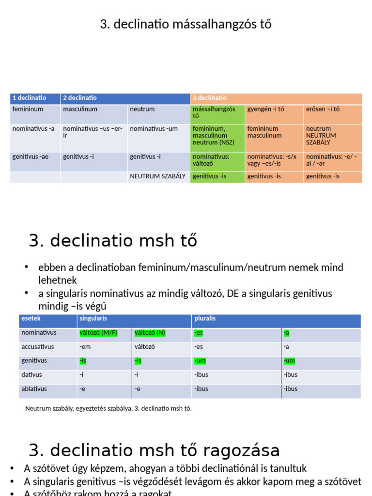 3 Declinatio - 1 | PDF