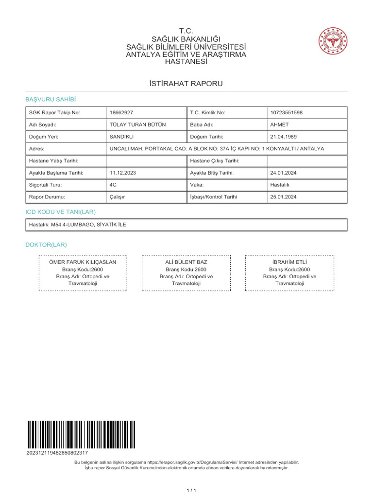 Rapor | PDF