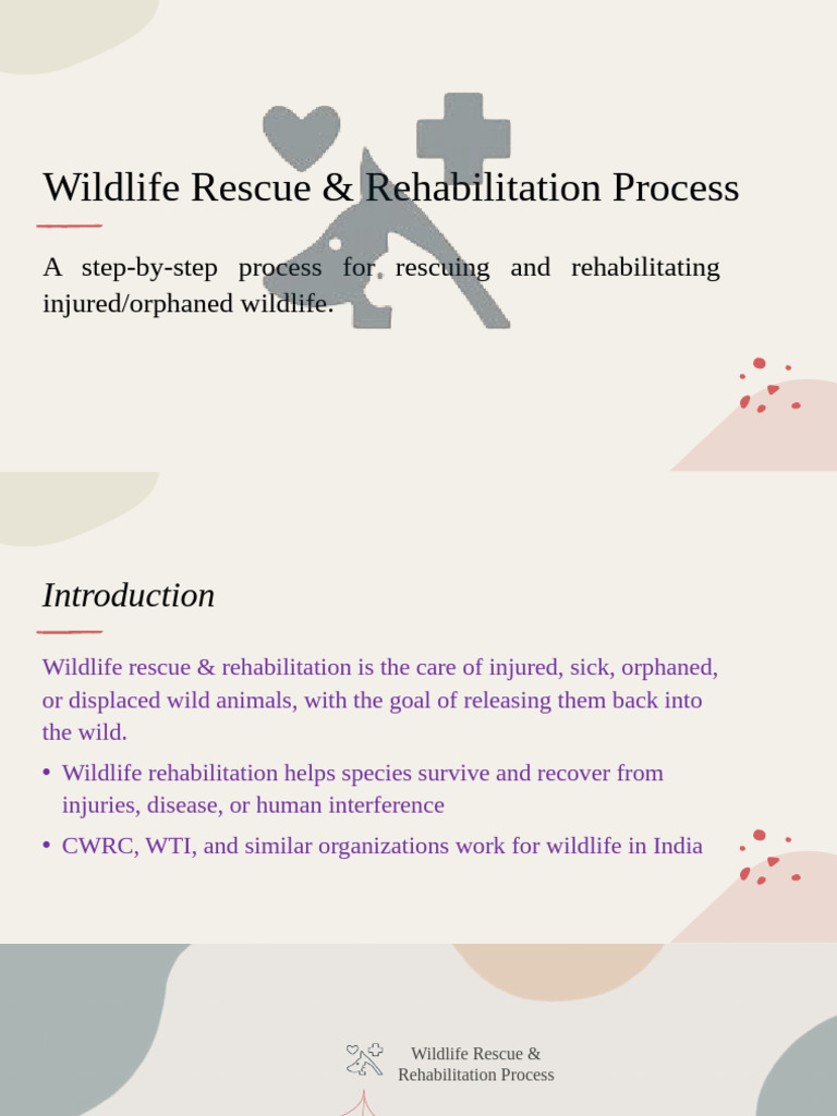 Wildlife Rescue & Rehabilitation Steps | PDF | Wildlife