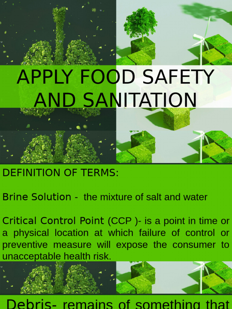 Food Safety and Sanitation Guidelines | PDF | Food Safety | Hygiene