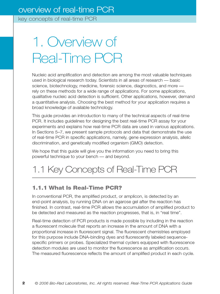Qrt Pcr Basics Pdf Real Time Polymerase Chain Reaction Polymerase