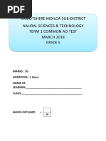 Grade 5 NST Exam Paper 2025 | PDF | Foods | Skeleton