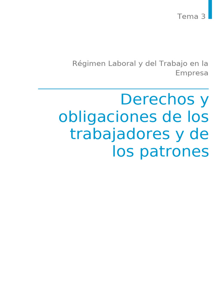 Derechos y obligaciones laborales esenciales | PDF | Derecho laboral ...