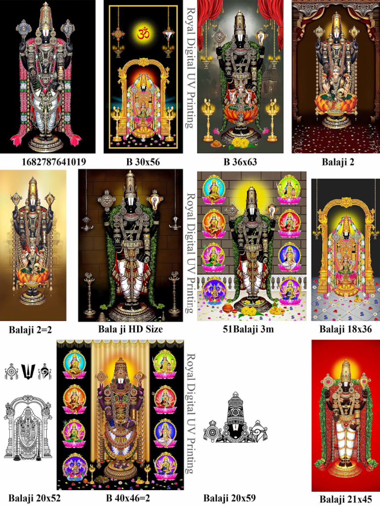 Balaji and SNC | PDF