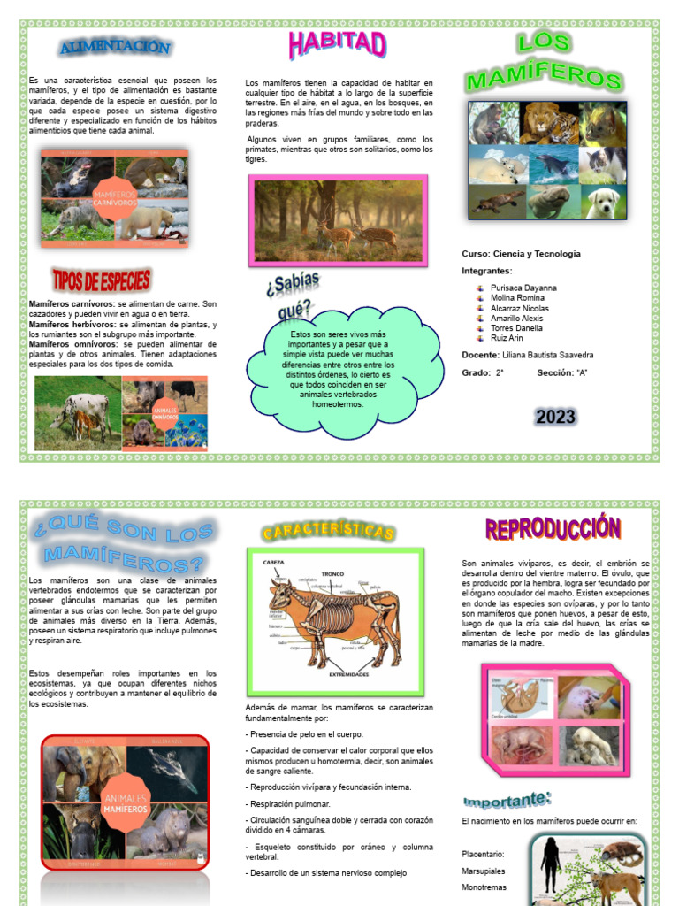Los Mamiferos - Daya | PDF | Mamíferos | Zoología