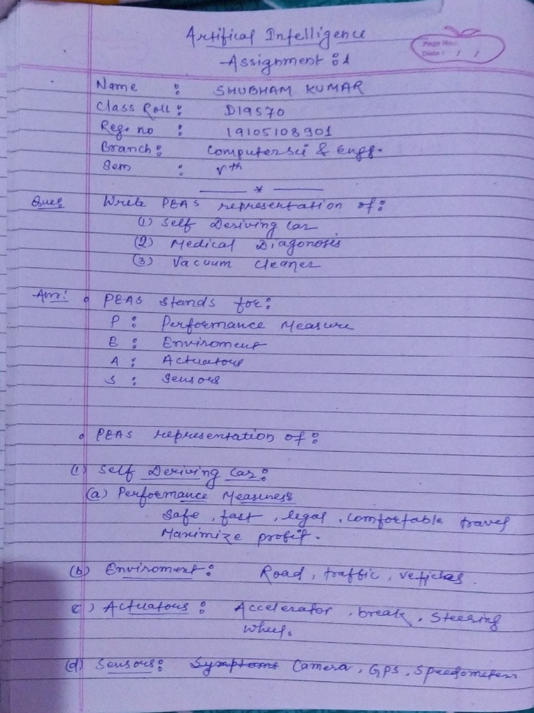 AI (PEAS) Assignment 1 | PDF
