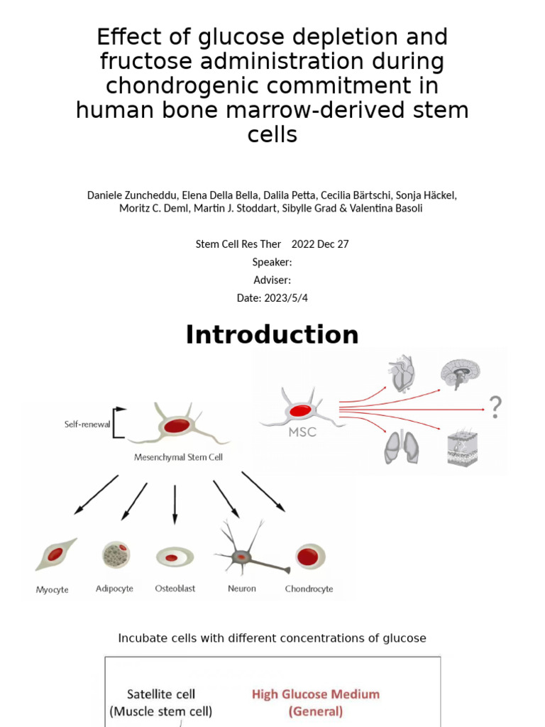 Glucose Depletion and Fructose in Stem Cells | PDF