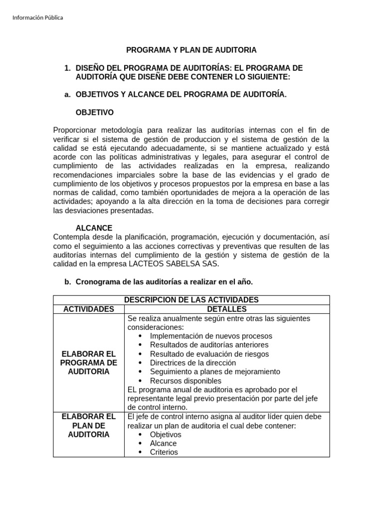Programa y Plan de Auditoría Interna | PDF | Auditoría | Contralor