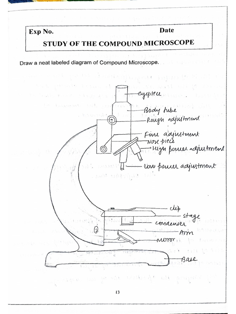 Physiology Practical | PDF
