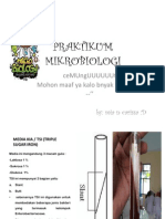 Praktikum Mikrobiologi