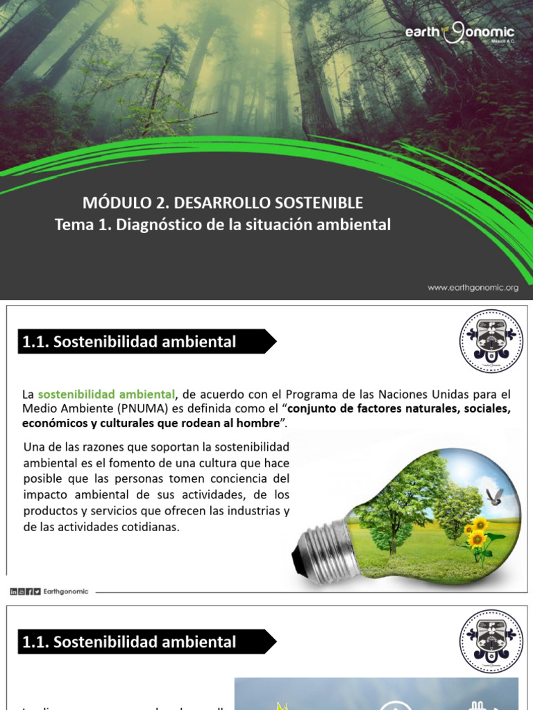 Sostenibilidad Ambiental y Ciudades Sostenibles | PDF | Sustentabilidad ...