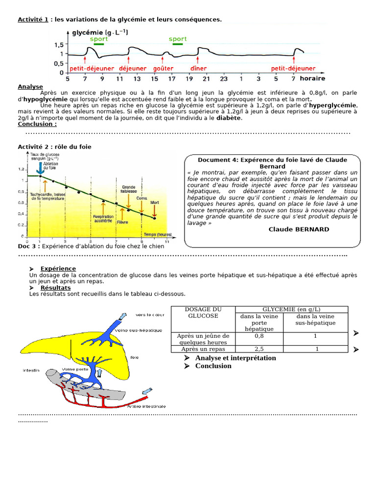 variations-de-la-glyc-mie-et-r-le-du-foie-pdf-insuline-hypoglyc-mie