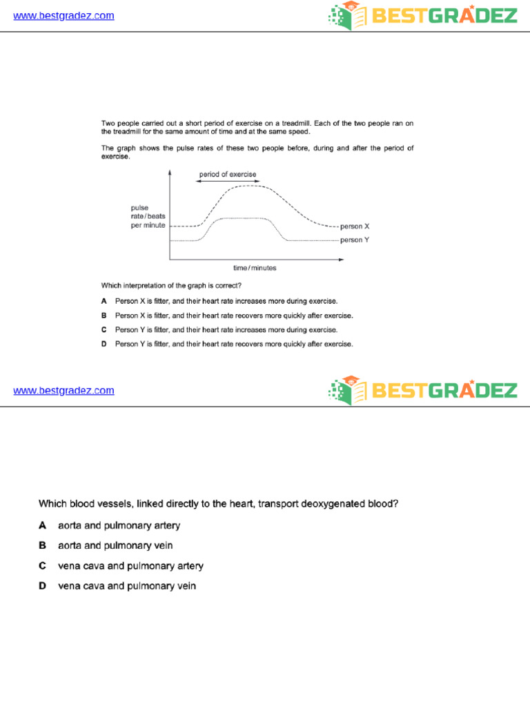 Exam Questions and Answers Summary | PDF