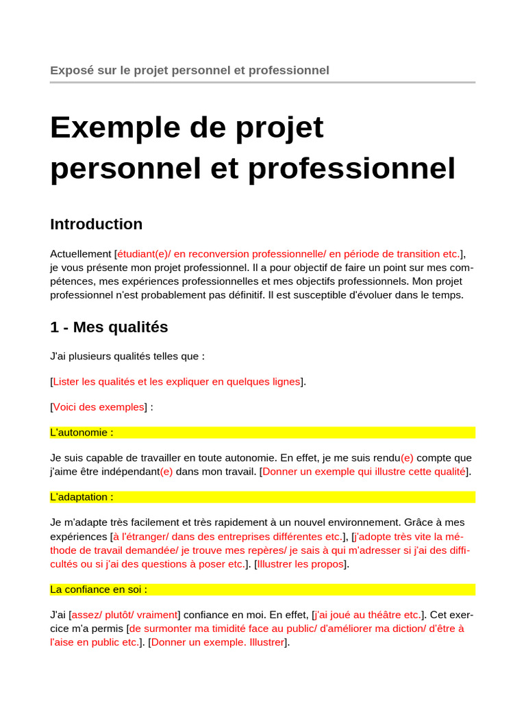 Projet professionnel et personnel détaillé | PDF | Psychologue