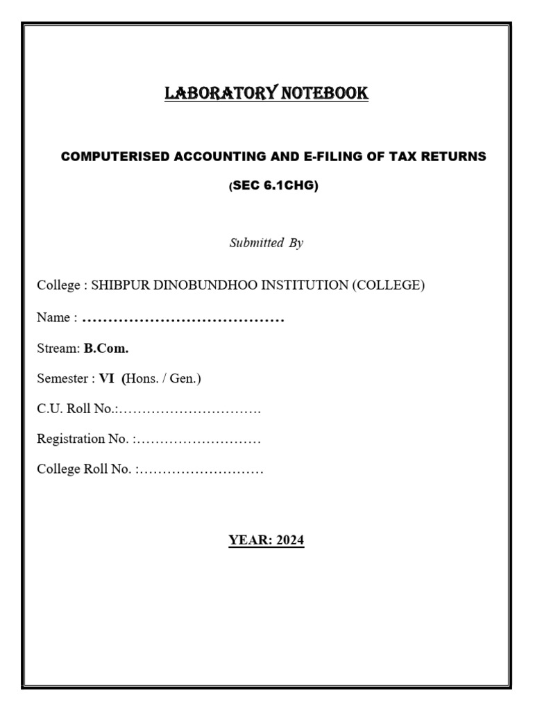 Computerised Accounting Lab Report | PDF