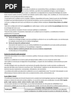 Escala GRBAS en Evaluación de Voz | PDF