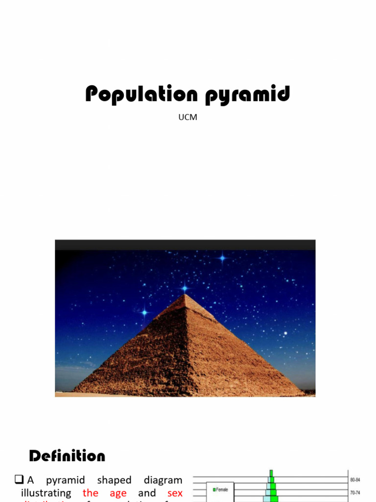 Understanding Population Pyramids | PDF