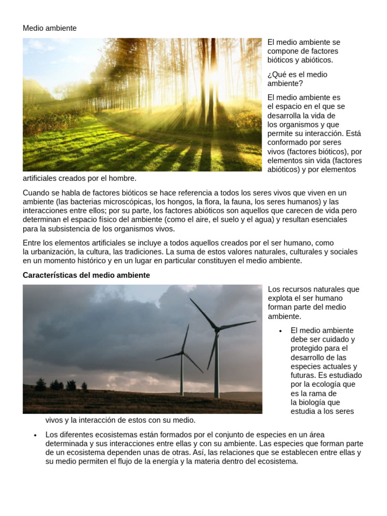 Importancia y cuidado del medio ambiente | PDF | Entorno natural ...