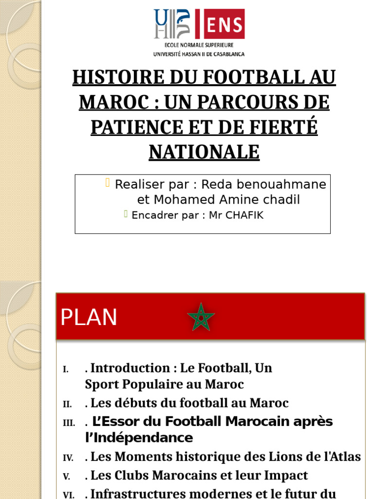 Drapeau Du Nouveau-Mexique | Vecteur Premium