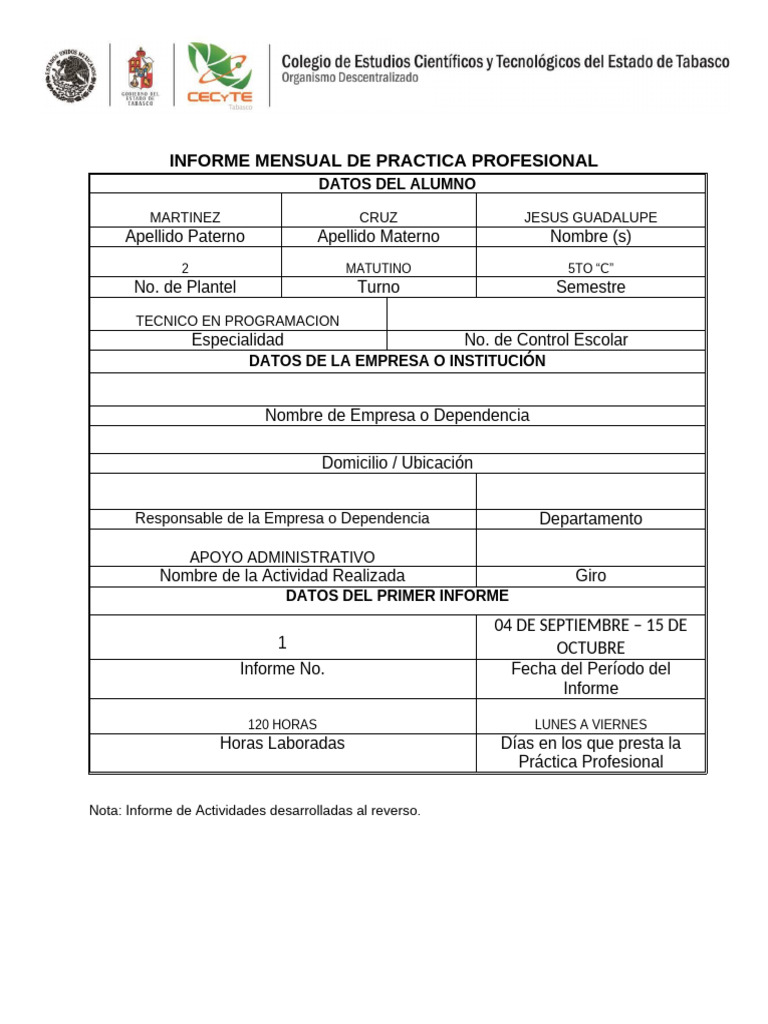 Formato Practica Prof. 2024 | PDF