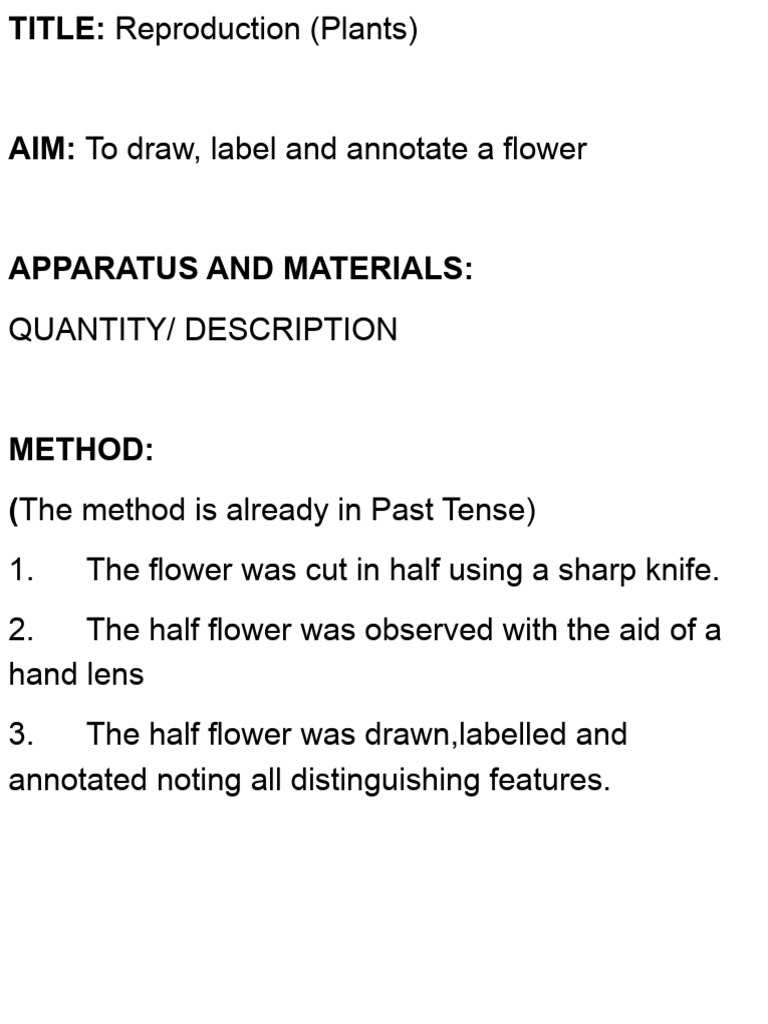 Flower Reproduction: Drawing Guide | PDF