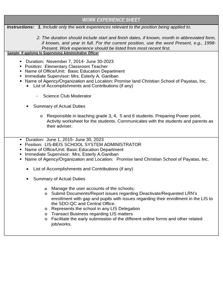 Work Experience Sheet | PDF
