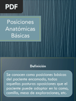 Posiciones Anatómicas del Paciente | PDF | Términos anatómicos de ...