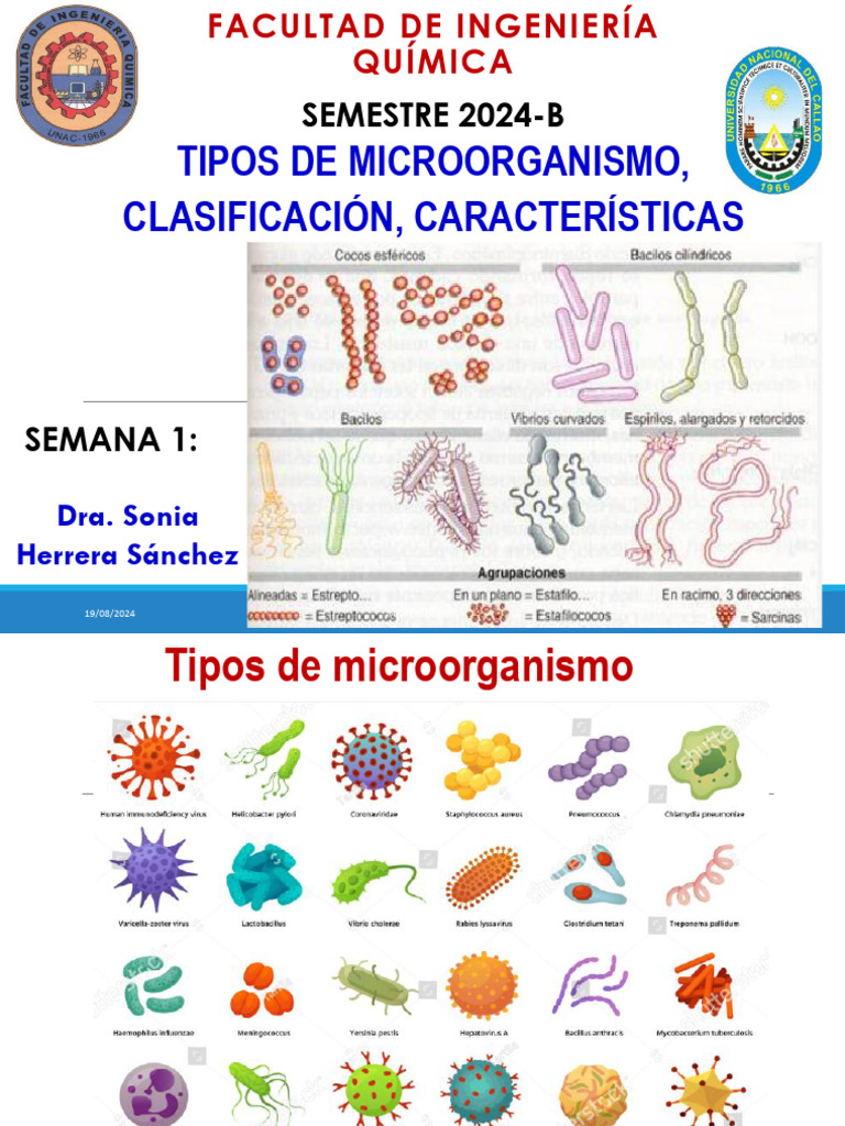 Tipos y características de microorganismos | PDF | Microorganismo
