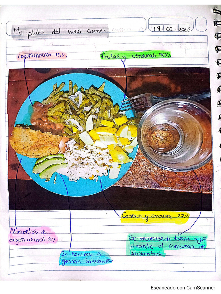 Mi Plato Del Bien Comer | PDF