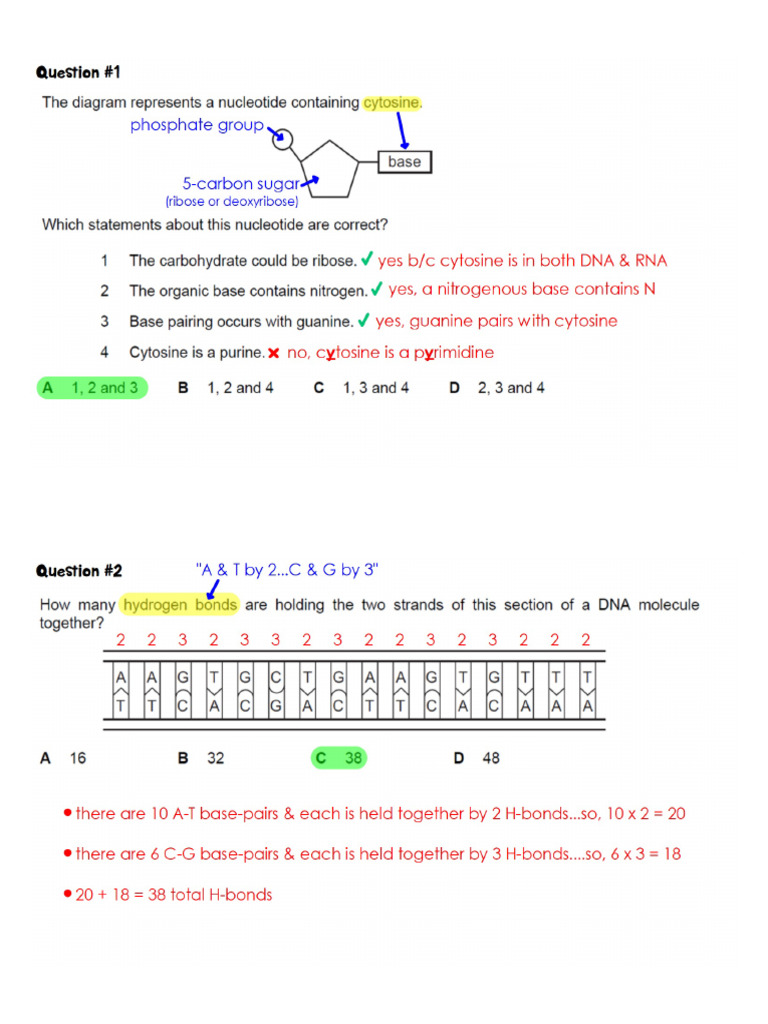 KEY+-+Ch+6+MC | PDF